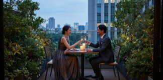 Elite Escort Experience