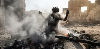 Revive Your Spirit: Companion Guide