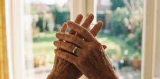 Exploring Power Dynamics in Companionship