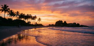 Florianopolis VIP Escort: Luxury Experience Guide