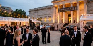 Museumplein VIP 24H: Luxury Amsterdam Adventure