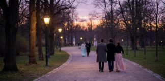 Vondelpark VIP Open Air Escort Experiences