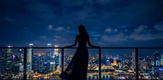 Zuidas VIP Skyscraper Escorts: Luxury Unveiled