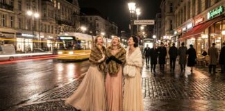 Berlin VIP Kurfürstenstraße Girls: Ultimate Guide
