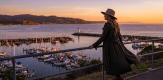 Tenerife VIP Escorts Santa Cruz: Luxury Guide